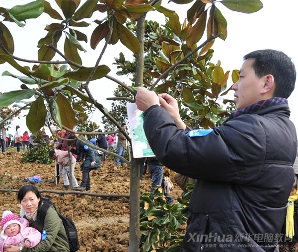 植樹活動現場大家在認真植樹